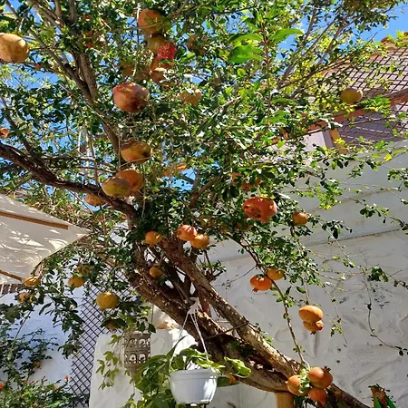 Casa Roca Апартаменты *